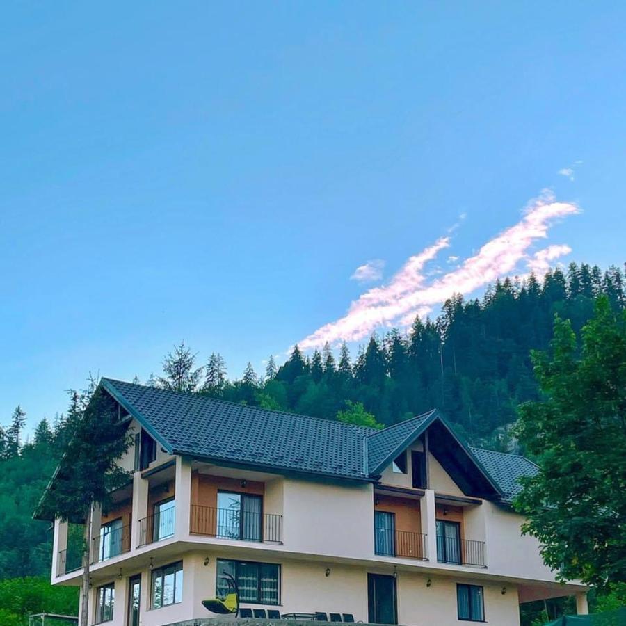 Silver Mountain Villa Colibita Colibiţa Exterior foto